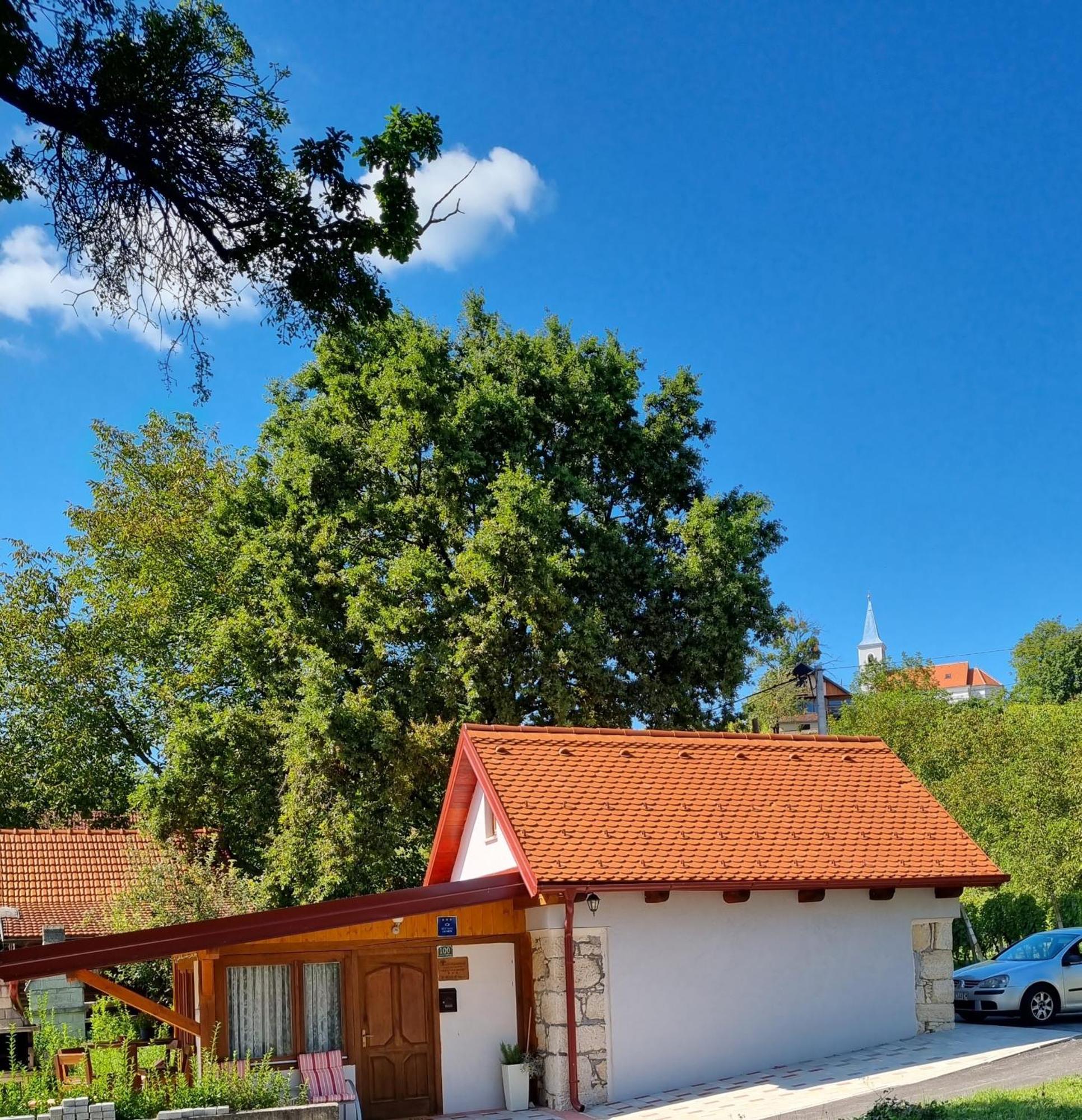 Holiday Old Stone House Sveti Ivan Zelina Exterior photo